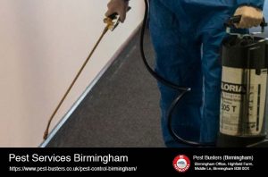 Pest Services Birmingham