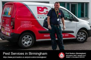 Pest Services Birmingham
